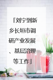 刘宁到新乡长垣市调研产业发展、基层治理等工作