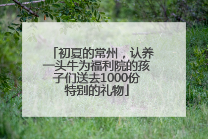 初夏的常州，认养一头牛为福利院的孩子们送去1000份特别的礼物