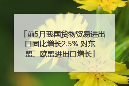 前5月我国货物贸易进出口同比增长2.5% 对东盟、欧盟进出口增长