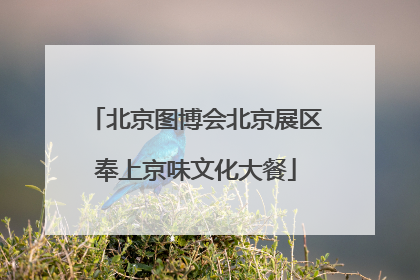 北京图博会北京展区奉上京味文化大餐