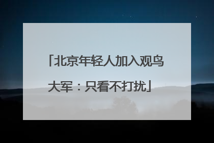 北京年轻人加入观鸟大军：只看不打扰