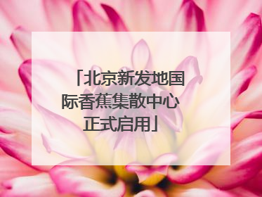 北京新发地国际香蕉集散中心正式启用