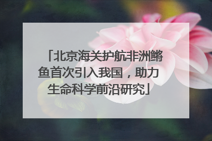 北京海关护航非洲鳉鱼首次引入我国，助力生命科学前沿研究