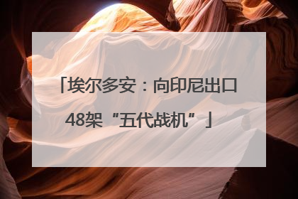 埃尔多安：向印尼出口48架“五代战机”