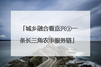 城乡融合看嘉兴③一条长三角农事服务链