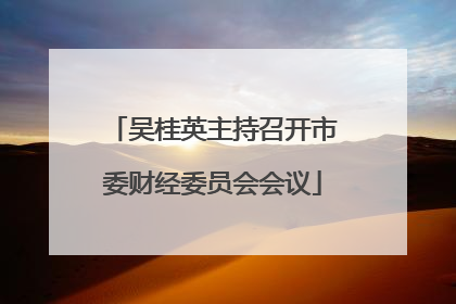 吴桂英主持召开市委财经委员会会议