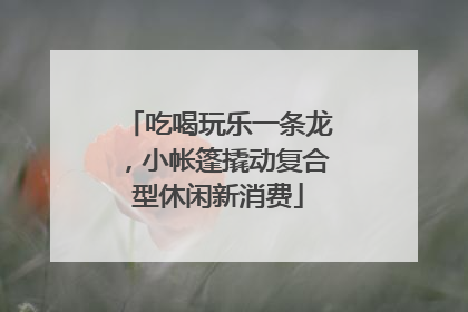吃喝玩乐一条龙，小帐篷撬动复合型休闲新消费