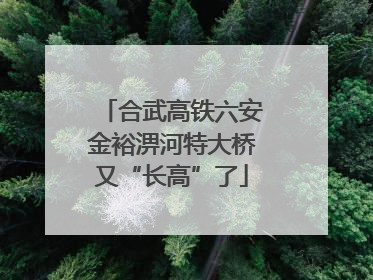 合武高铁六安金裕淠河特大桥又“长高”了