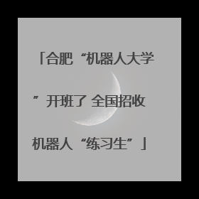 合肥“机器人大学”开班了 全国招收机器人“练习生”