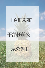 合肥发布干部任前公示公告