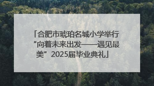 合肥市琥珀名城小学举行“向着未来出发——遇见最美”2025届毕业典礼