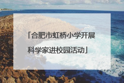 合肥市虹桥小学开展科学家进校园活动