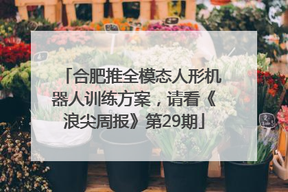 合肥推全模态人形机器人训练方案，请看《浪尖周报》第29期