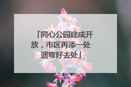 同心公园建成开放，市区再添一处遛弯好去处