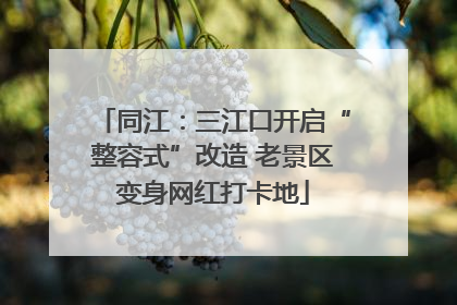 同江：三江口开启“整容式”改造 老景区变身网红打卡地