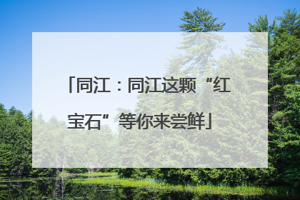 同江：同江这颗“红宝石”等你来尝鲜