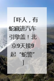 吓人，有蛇藏进汽车引擎盖！北京9天接9起“蛇警”