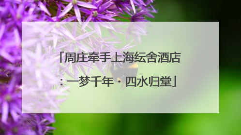 周庄牵手上海纭舍酒店：一梦千年・四水归堂
