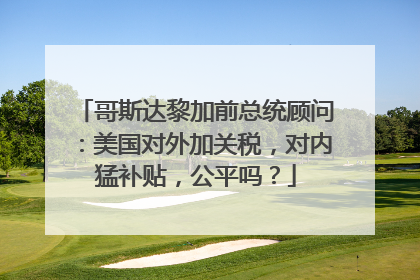 哥斯达黎加前总统顾问：美国对外加关税，对内猛补贴，公平吗？