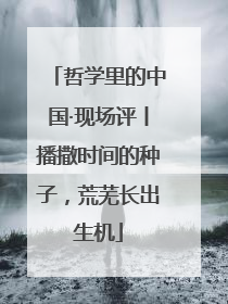 哲学里的中国·现场评丨播撒时间的种子，荒芜长出生机