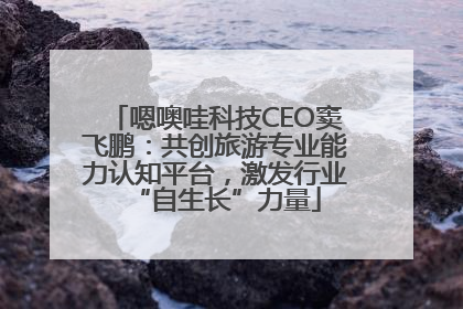 嗯噢哇科技CEO窦飞鹏：共创旅游专业能力认知平台，激发行业“自生长”力量