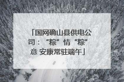 国网确山县供电公司：“粽”情“粽”意 安康常驻端午