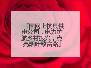 国网上杭县供电公司：电力护航乡村振兴，点亮烟叶致富路