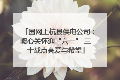 国网上杭县供电公司：暖心关怀迎“六一” 三十载点亮爱与希望