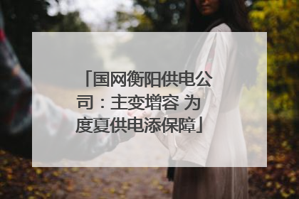 国网衡阳供电公司：主变增容 为度夏供电添保障