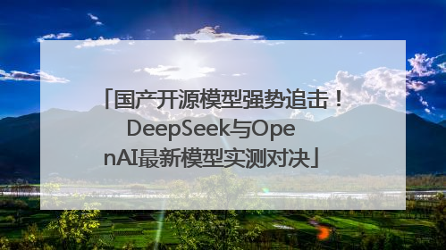 国产开源模型强势追击！DeepSeek与OpenAI最新模型实测对决