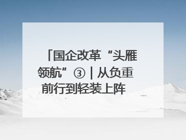 国企改革“头雁领航”③｜从负重前行到轻装上阵 重庆以“瘦身”谋“健体”