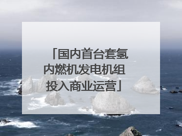 国内首台套氢内燃机发电机组投入商业运营