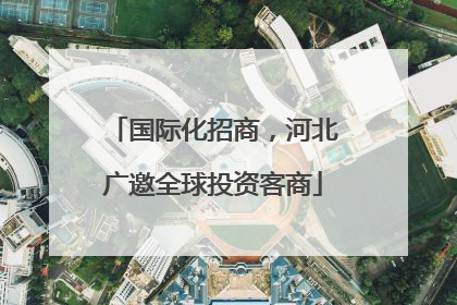 国际化招商，河北广邀全球投资客商