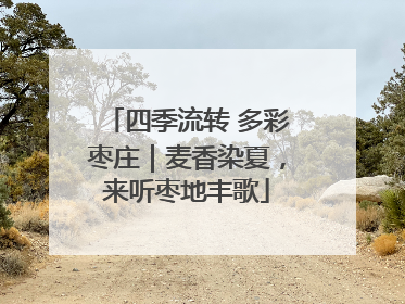 四季流转 多彩枣庄｜麦香染夏，来听枣地丰歌