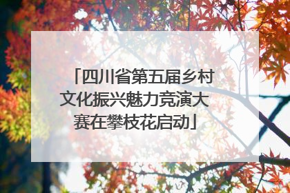 四川省第五届乡村文化振兴魅力竞演大赛在攀枝花启动