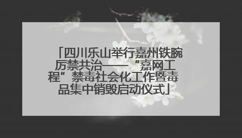 四川乐山举行嘉州铁腕 厉禁共治——“嘉网工程”禁毒社会化工作暨毒品集中销毁启动仪式