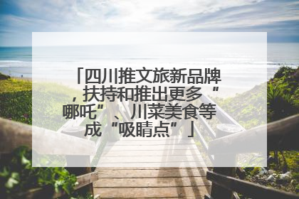 四川推文旅新品牌，扶持和推出更多“哪吒”、川菜美食等成“吸睛点”