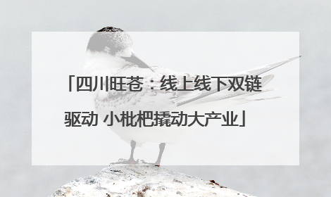 四川旺苍：线上线下双链驱动 小枇杷撬动大产业