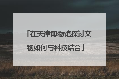 在天津博物馆探讨文物如何与科技结合