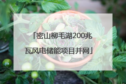 密山柳毛湖200兆瓦风电储能项目并网