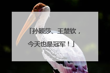孙颖莎、王楚钦，今天也是冠军！