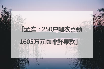 孟连：250户咖农喜领1605万元咖啡鲜果款