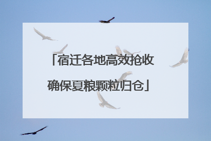 宿迁各地高效抢收 确保夏粮颗粒归仓