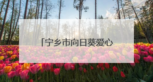 宁乡市向日葵爱心会：十年助学让近三百名学子圆梦大学