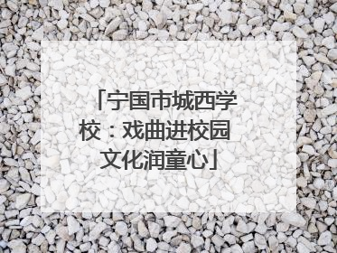 宁国市城西学校：戏曲进校园 文化润童心