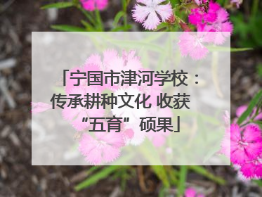 宁国市津河学校：传承耕种文化 收获“五育”硕果