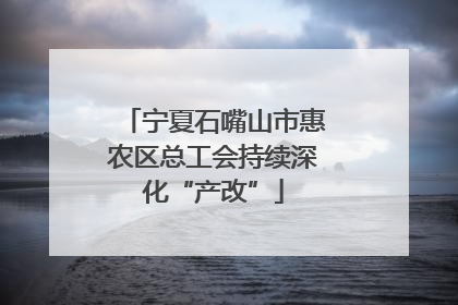 宁夏石嘴山市惠农区总工会持续深化“产改”