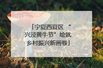 宁夏西夏区 “兴泾黄牛节”绘就乡村振兴新画卷