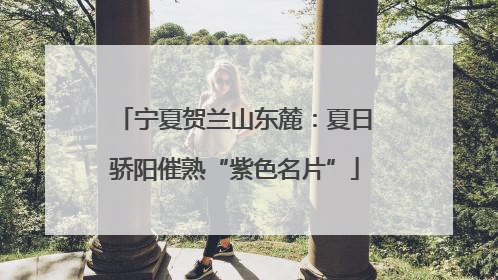宁夏贺兰山东麓：夏日骄阳催熟“紫色名片”
