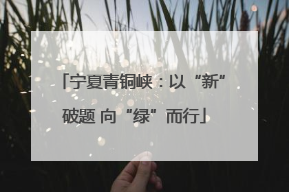 宁夏青铜峡：以“新”破题 向“绿”而行
